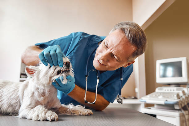 Best Mobile Emergency Dentist in Berry Hill, TN