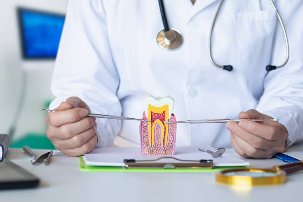 Best Mobile Emergency Dentist in Berry Hill, TN